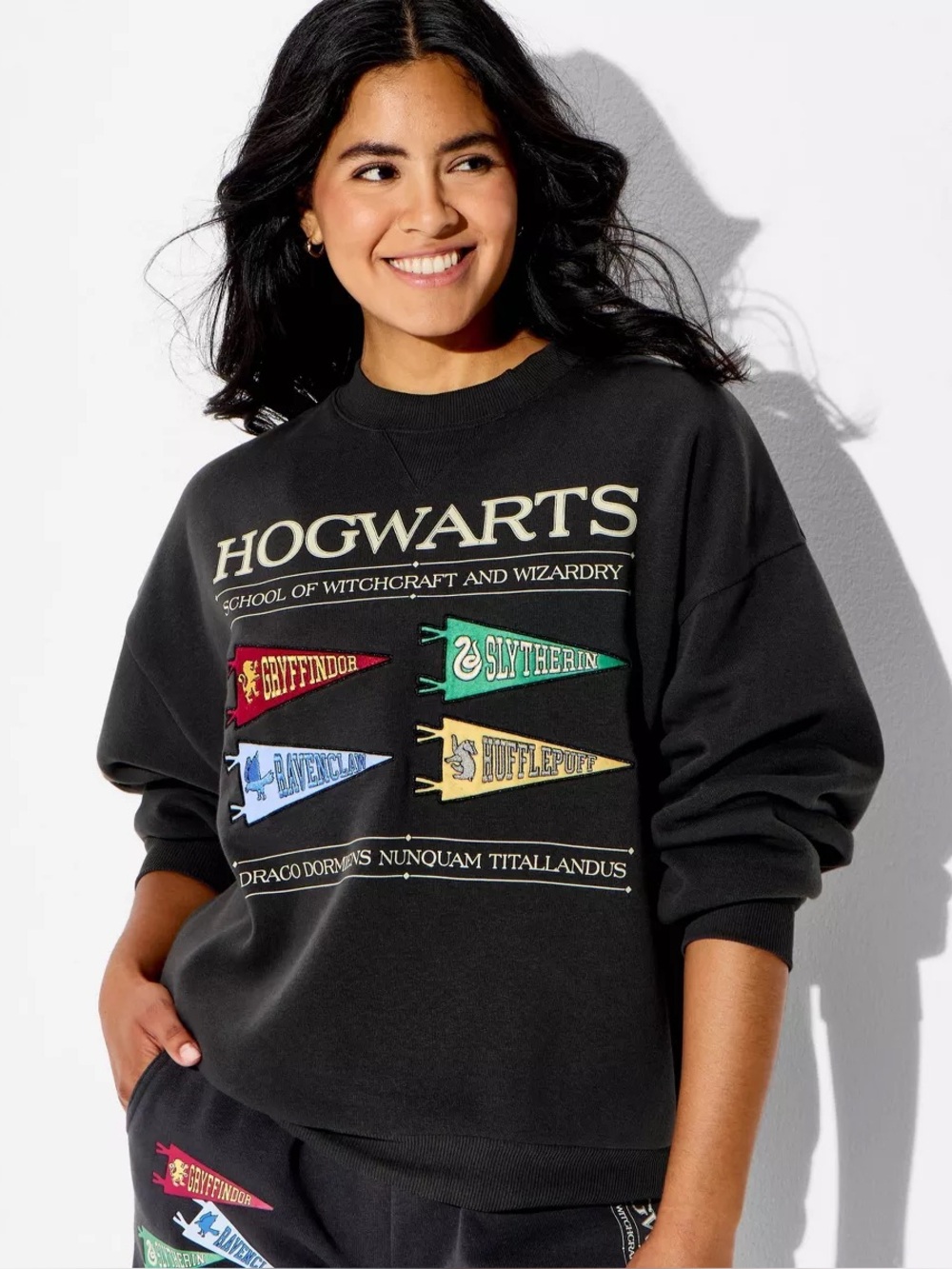Harry Potter Hogwarts Fleece Graphic Pullover Crewneck Sweatshirt - Black - XXL